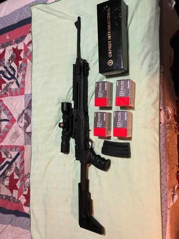 Ruger Mini 14