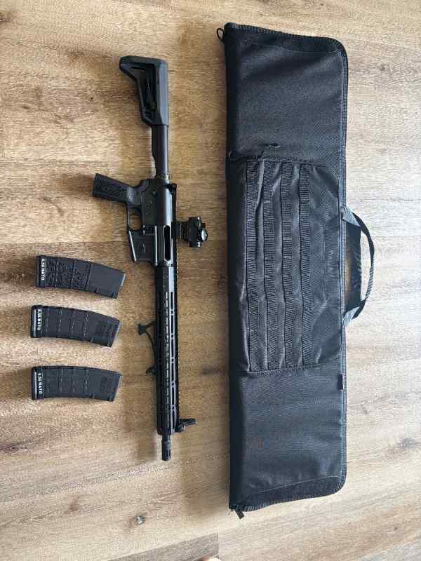 AR15 w/ 3 mags, red dot, carry case